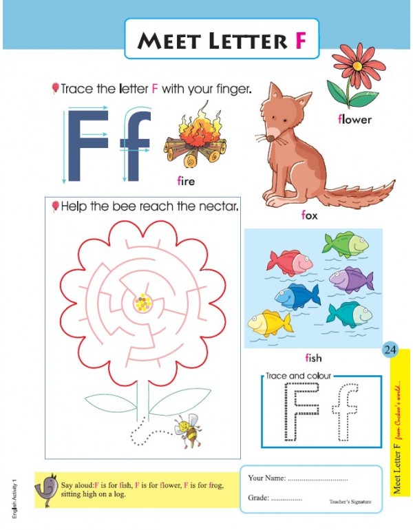 Cuckoo's Big Bunch of WS Series (4 subject worksheets - SET OF 8 books)