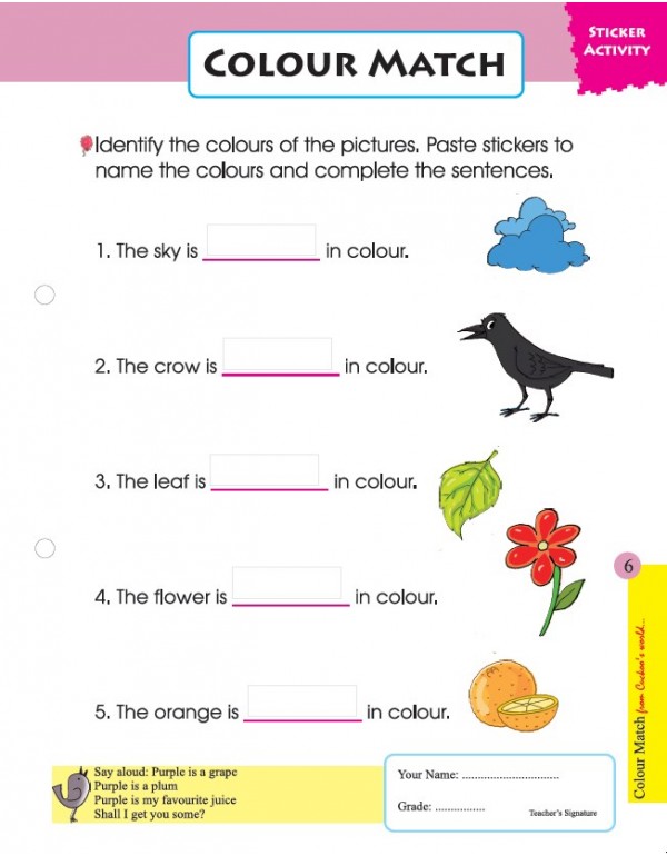 Cuckoo's Big Bunch of WS Series (4 subject worksheets - SET OF 8 books)
