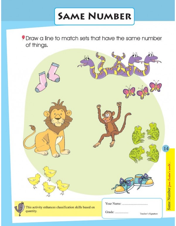 Cuckoo's Big Bunch of WS Series (4 subject worksheets - SET OF 8 books)