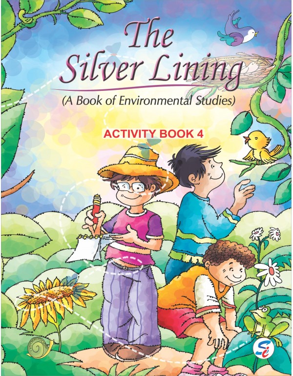 The Silver Lining EVS Activity -4