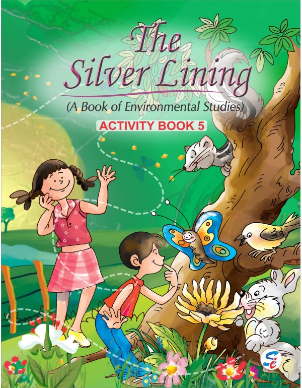 The Silver Lining EVS Activity -5